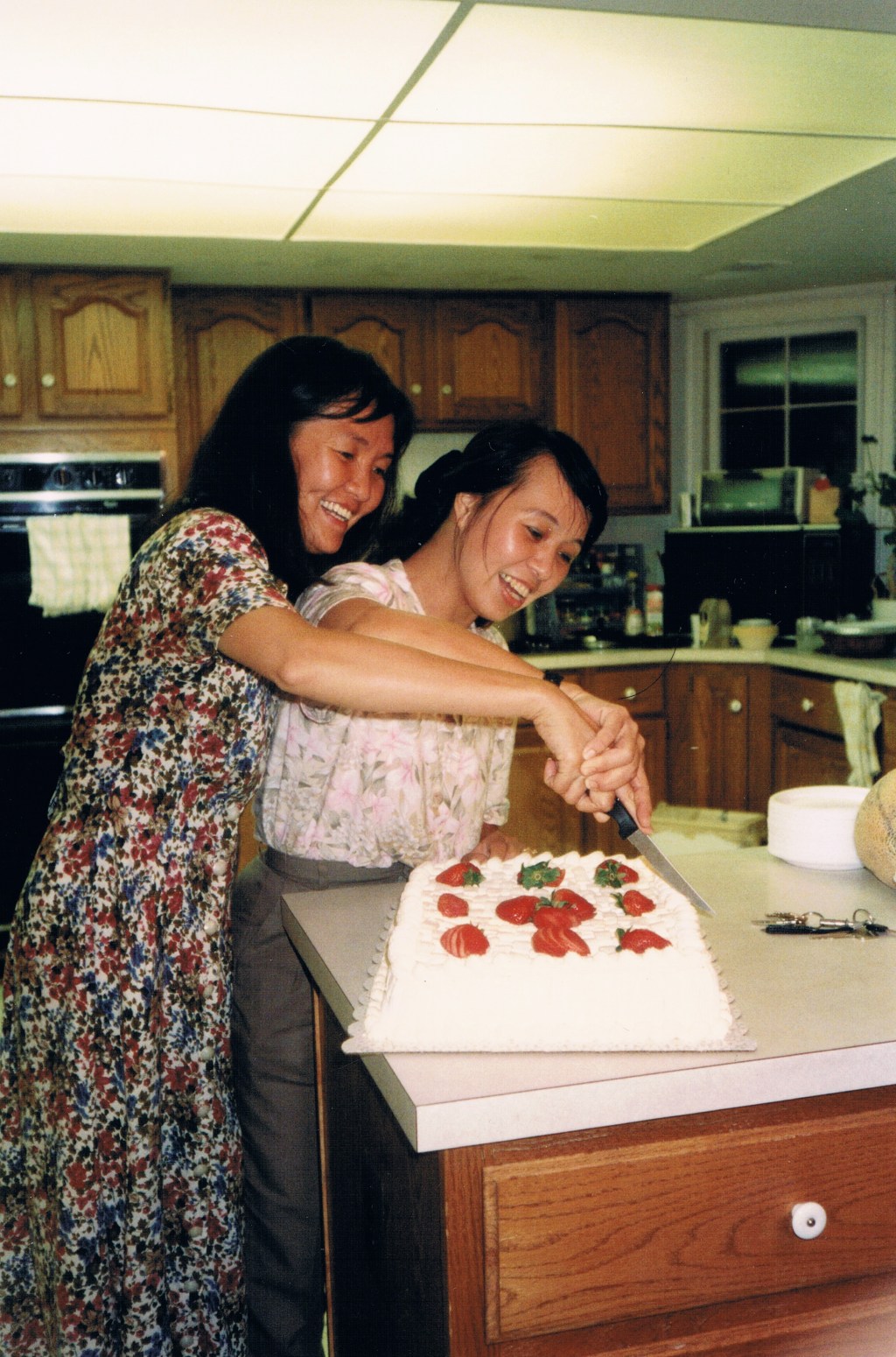 Họp mặt đầu tiên – Gia Đình SNA 1994,&nbsp;Virginia